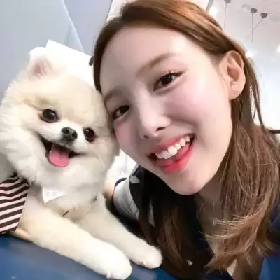 申梓珊